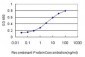 HMGA2 Antibody (monoclonal) (M01)